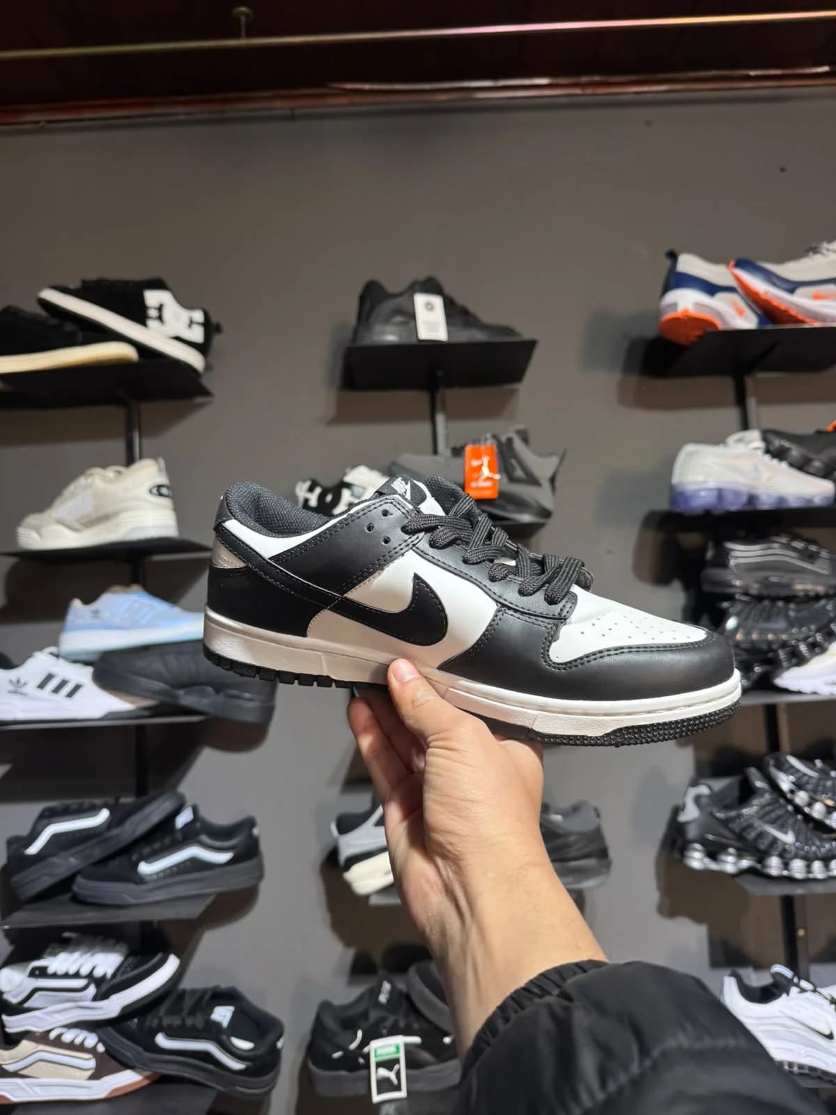Zapatilla Urbana Gris